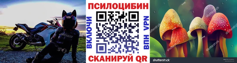mega ССЫЛКА  Сергач  Галлюциногенные грибы прущие грибы 
